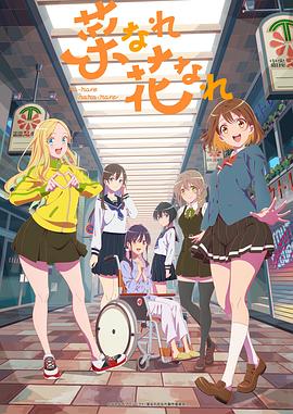 莆田网站优化系统排名